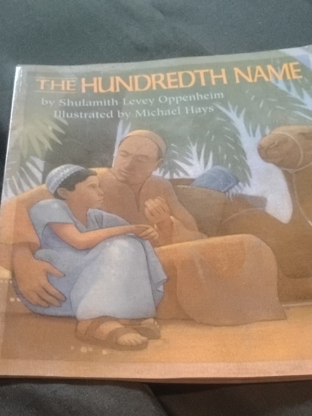 The Hundredth Name Hardcover Book - Illustrated by Michael Hays (Blue, Brown)
